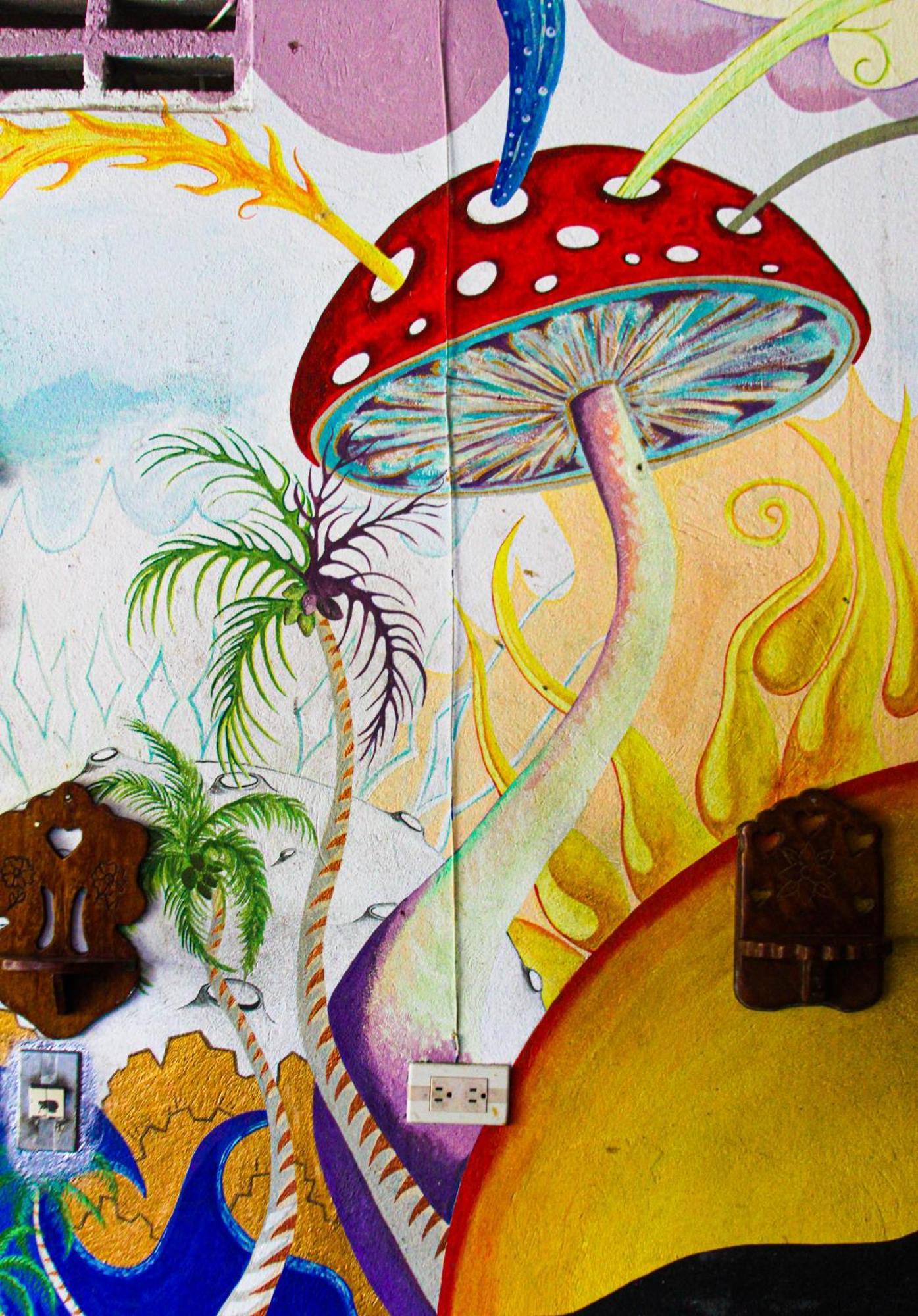 Hotel Casa Surf Mar Azul Palomino Exteriér fotografie