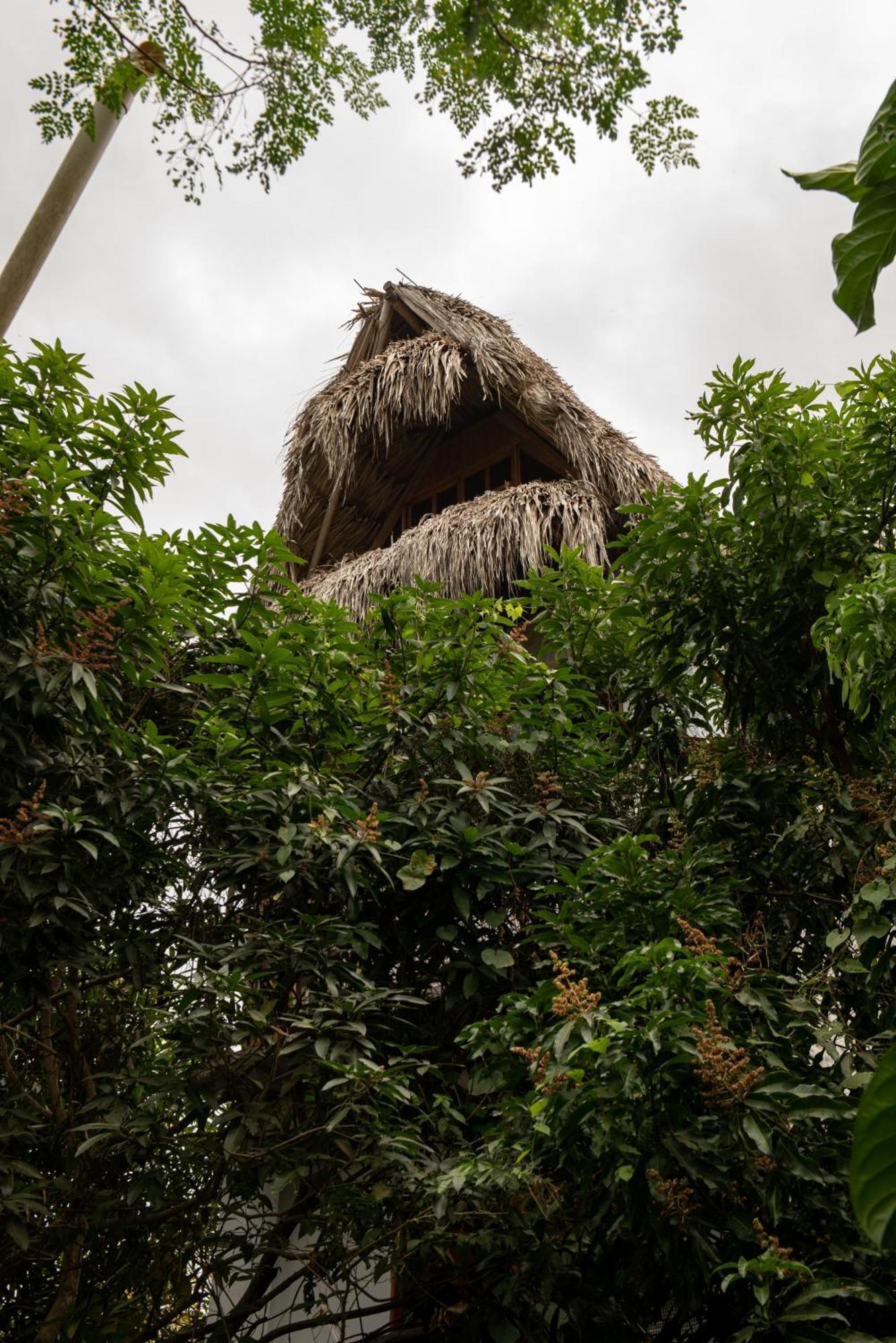 Hotel Casa Surf Mar Azul Palomino Pokoj fotografie