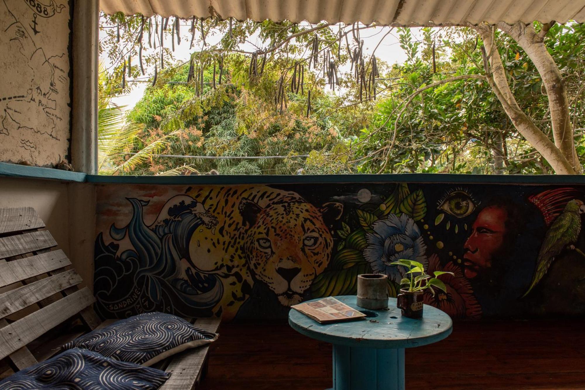 Hotel Casa Surf Mar Azul Palomino Exteriér fotografie