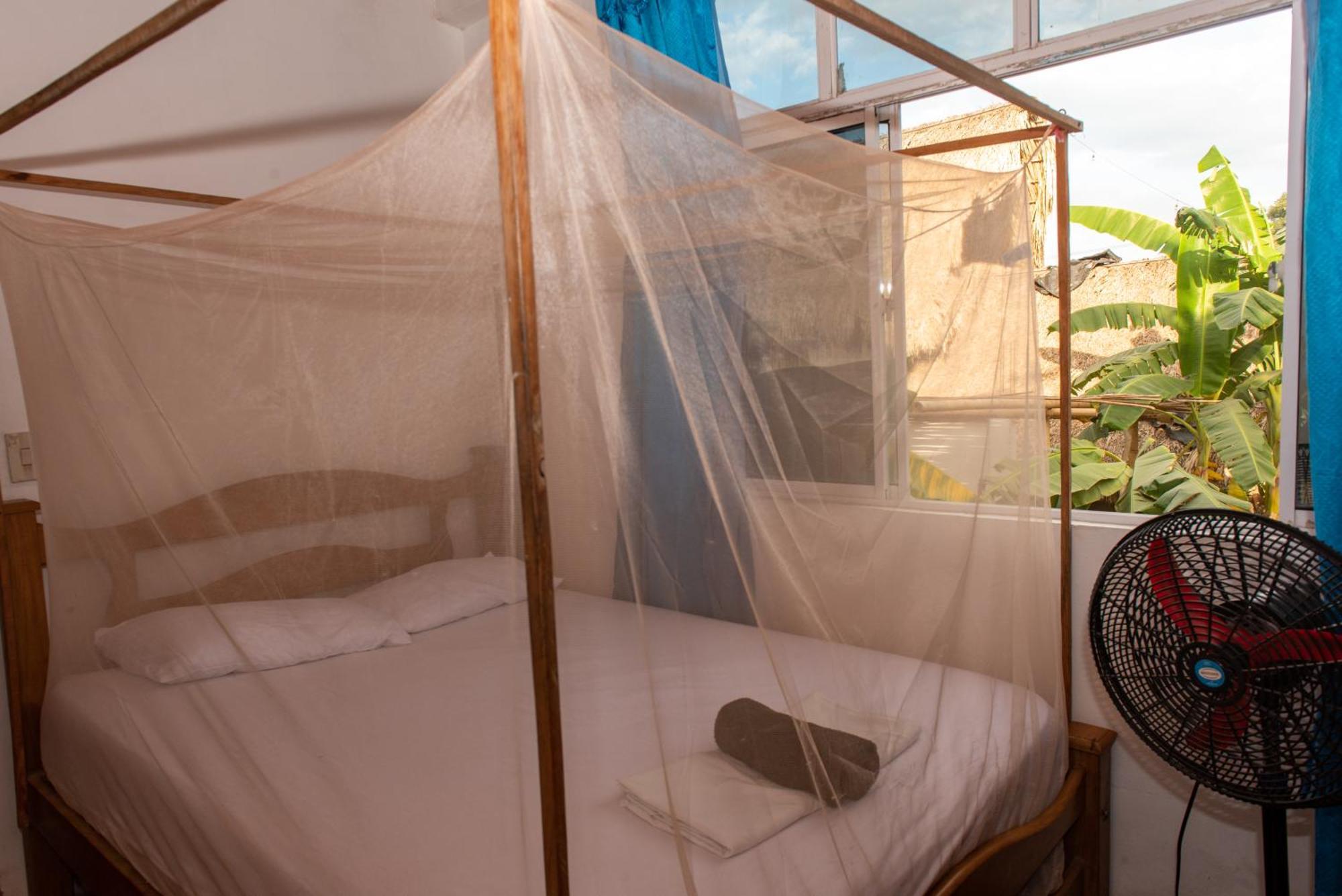 Hotel Casa Surf Mar Azul Palomino Pokoj fotografie